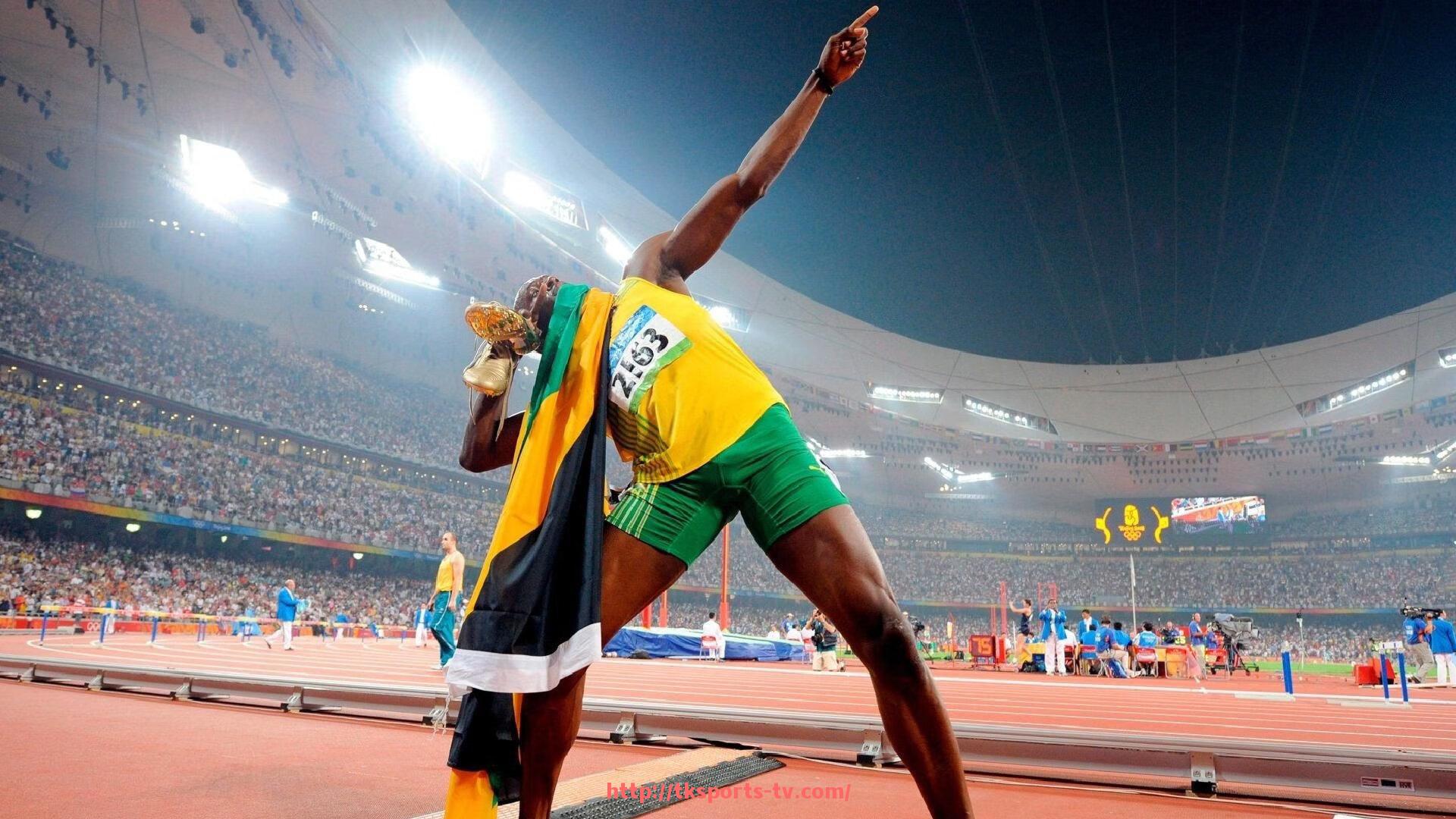 TK体育直播-城市绿道助力低碳世俱杯：主办城市绿道网络布局成果分析